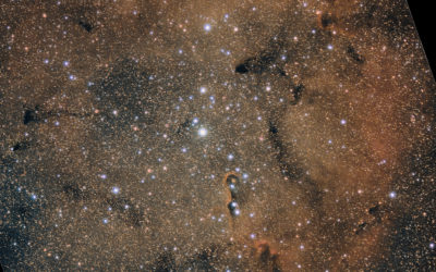 La trompe de l’éléphant (IC1396)